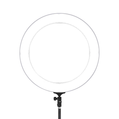 Embellir Ring Light 19inches Tripod Stand Silver