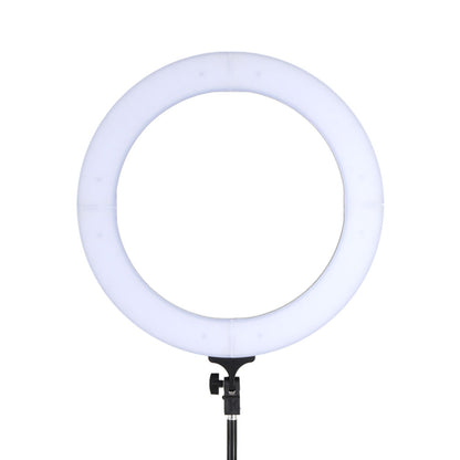 Embellir Ring Light 14inches Tripod Stand